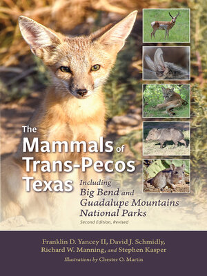 cover image of The Mammals of Trans-Pecos Texas